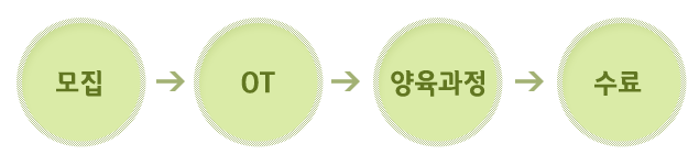 동반자과정